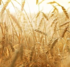 email тригери