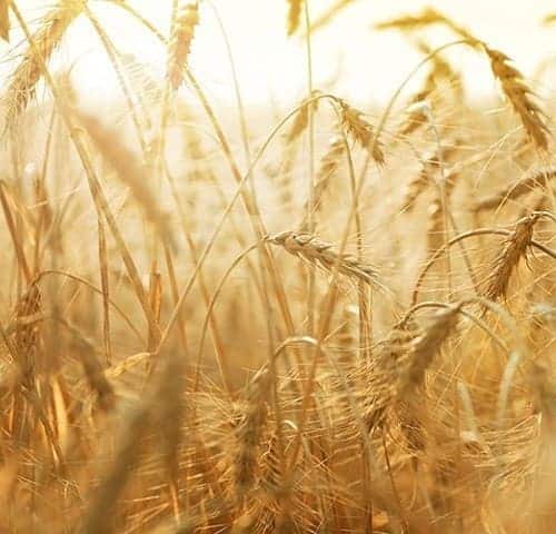 email тригери