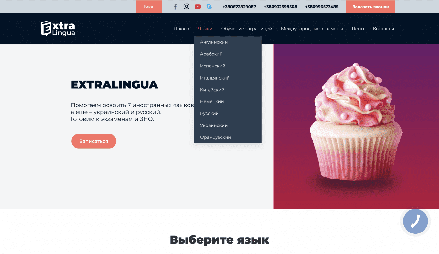 кейс SEO Маркетинг Линк сфера образования