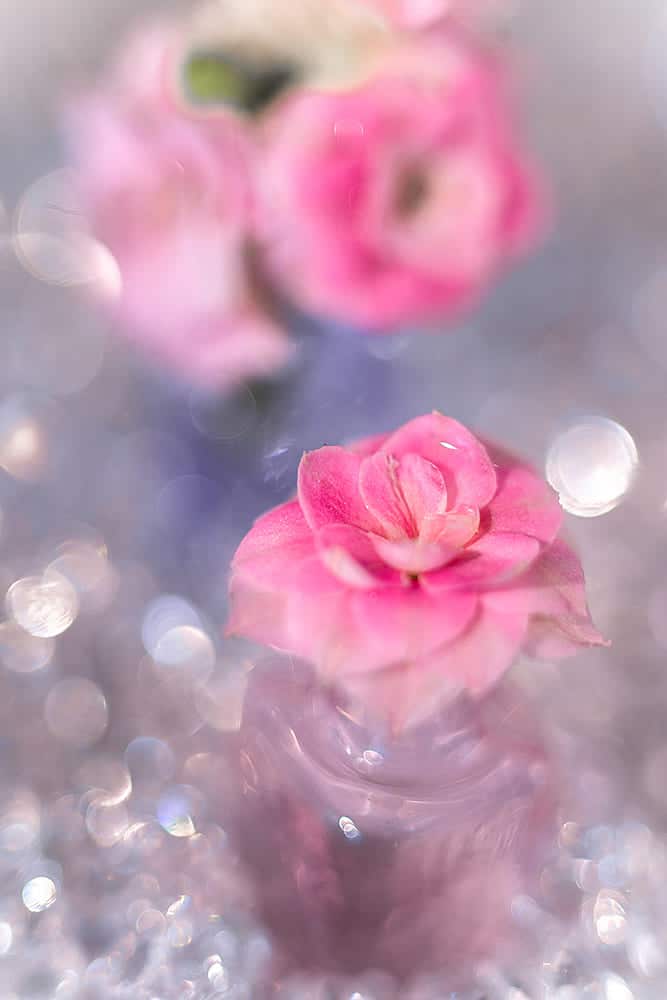 Боке приклад