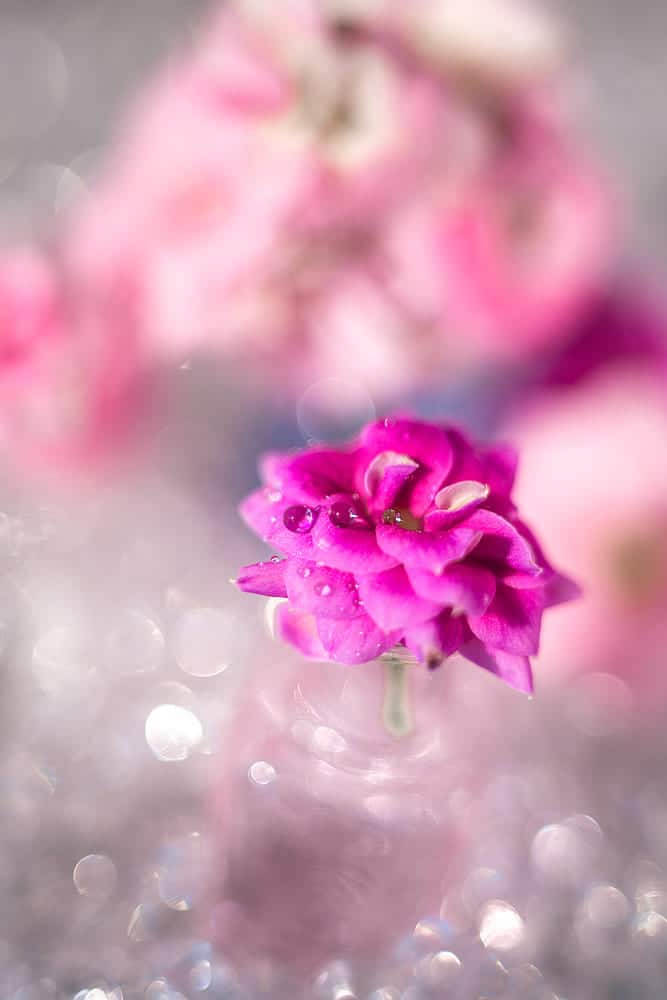 боке індустар