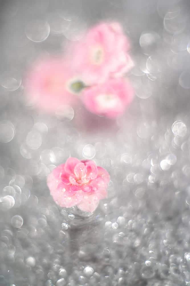 Боке на vintage об'єктив