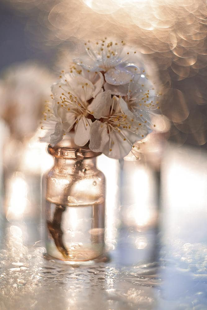 приклад художнє фото