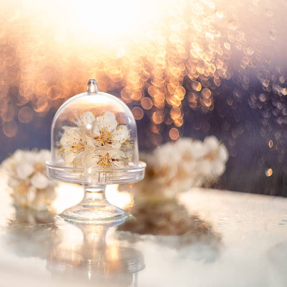 замовити художнє фото