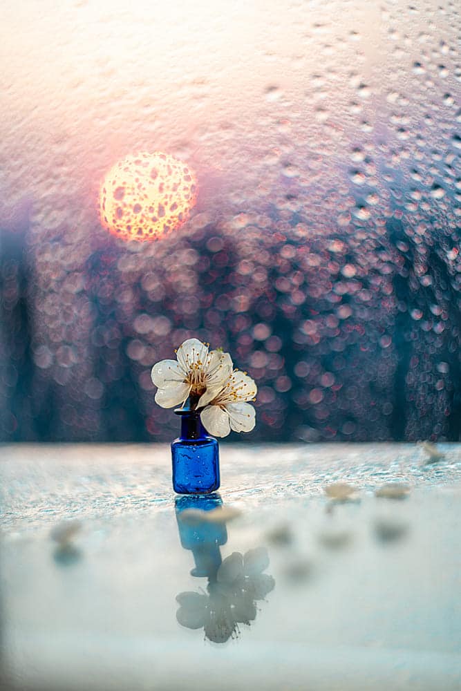 художнє фото