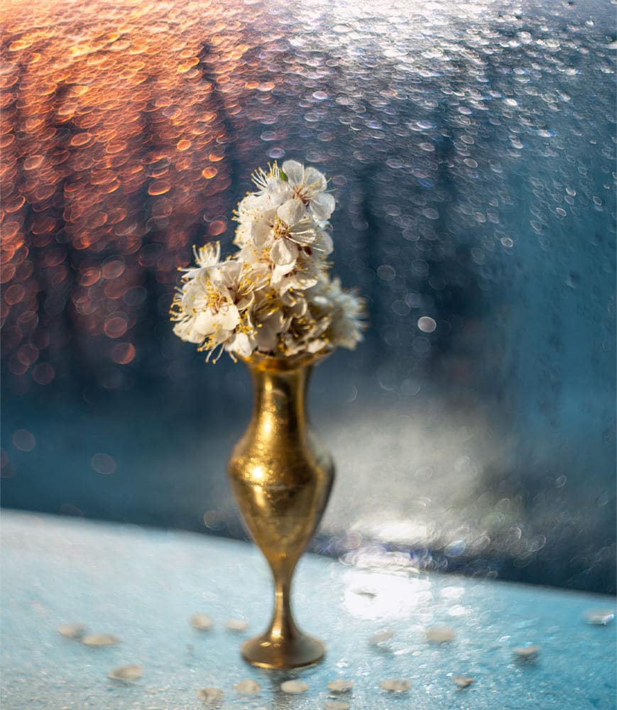 художнє фото весняне