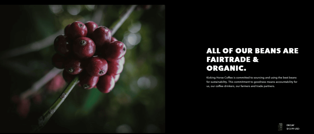 Coffee berries and organic message