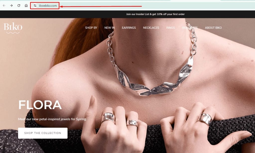 Using additional words to the brand name in the domain