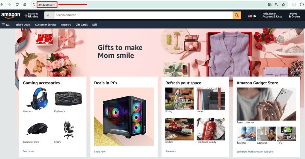 Amazon website page with the same domain name