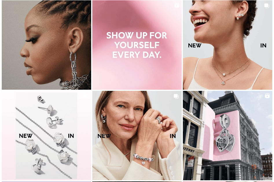 An example of a harmonious visual is the Pandora brand profile