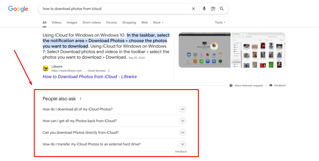Informational text blocks in Google search results