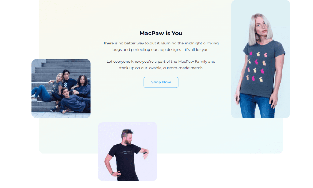 section about us on the website