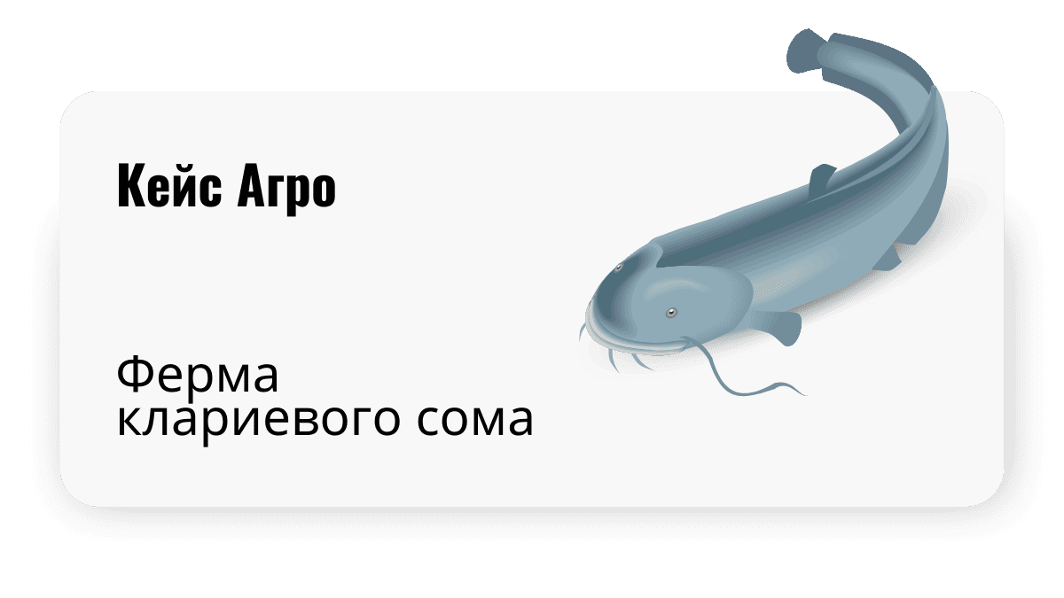 Маркетинговый кейс для сферы фермерского хозяйства