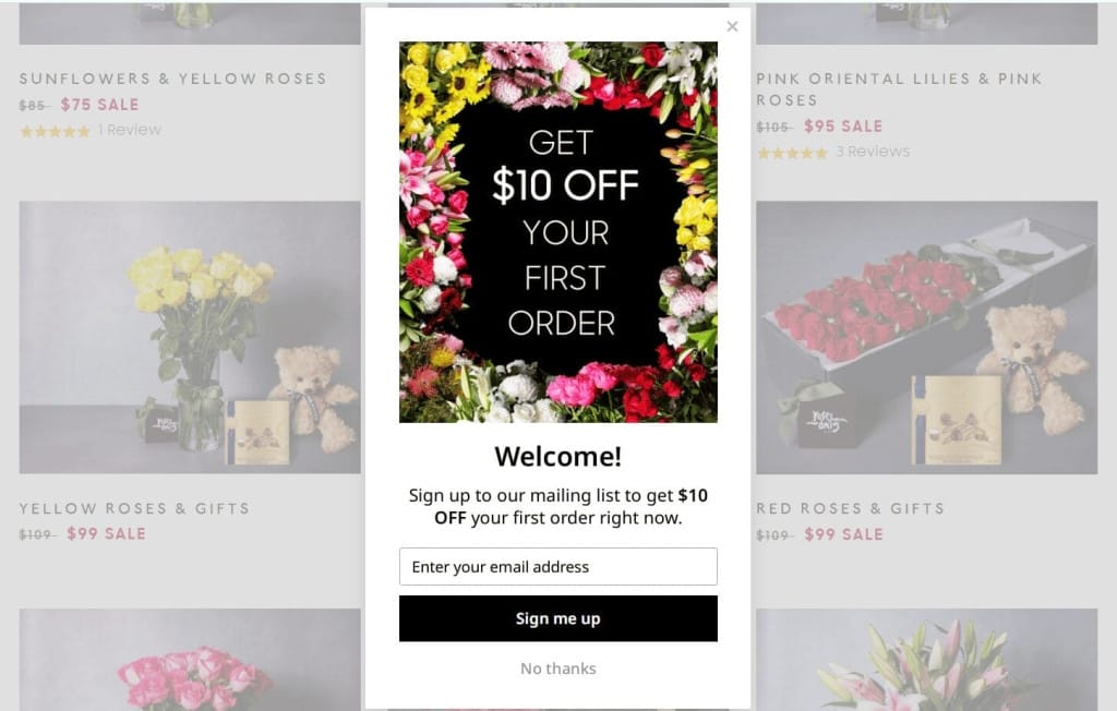 Pop-up window with a great offer for new subscribers