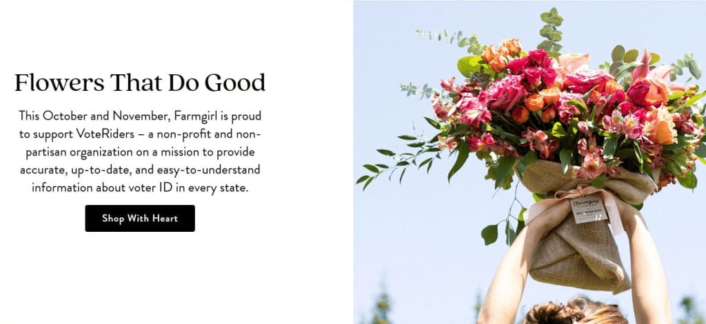 Charity project from Farmgirl for VoteRiders organization