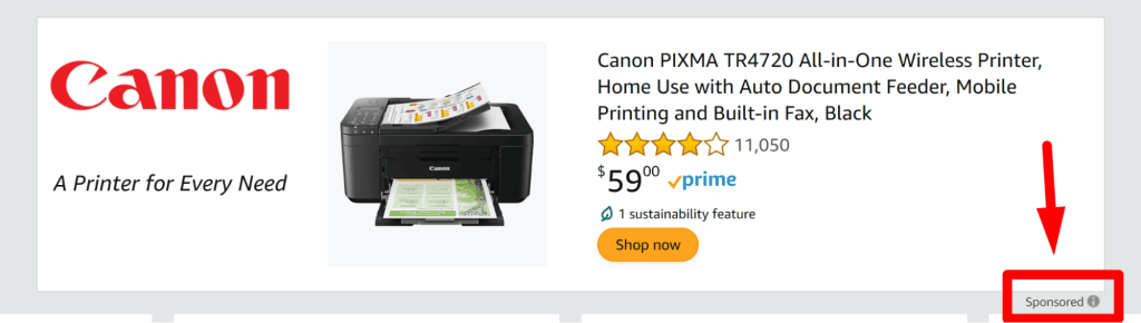 Canon's ad for Amazon's Maidanchik
