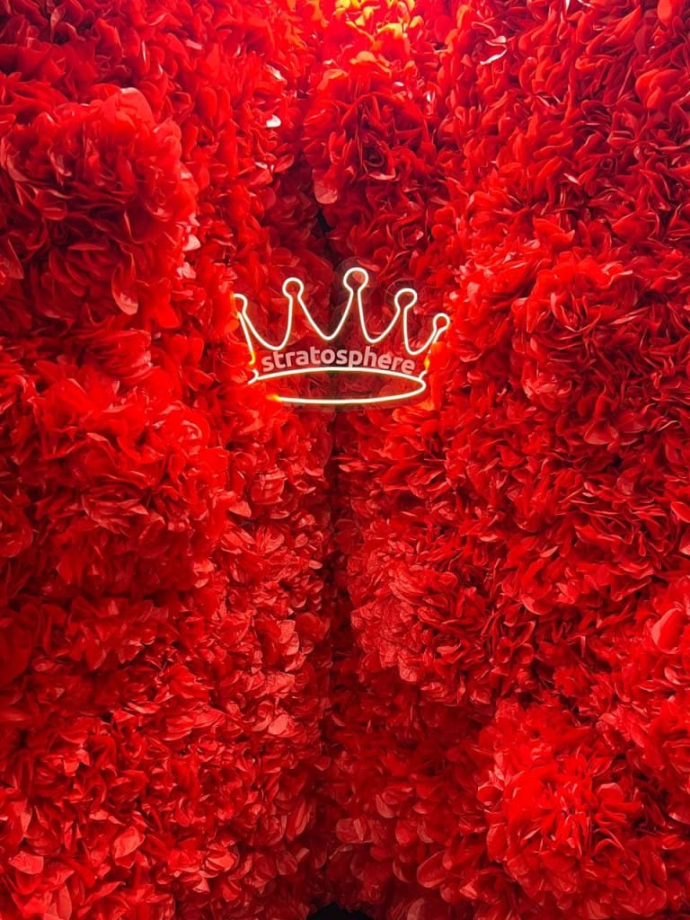 exhibitions of participants