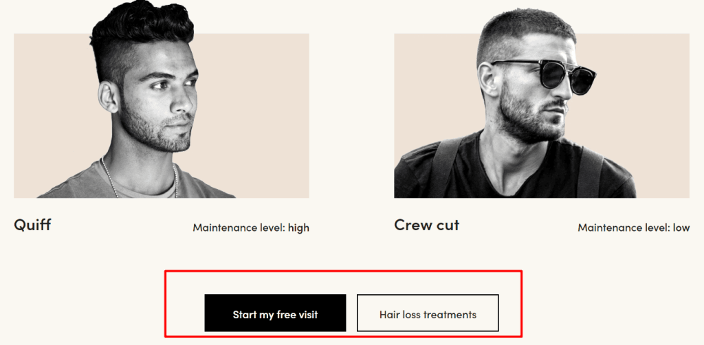 Two offers to choose from for website visitors after completing the hairstyle quiz