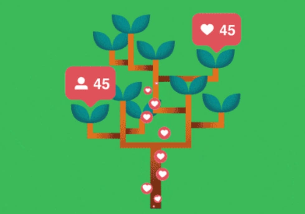 вечнозеленый контент