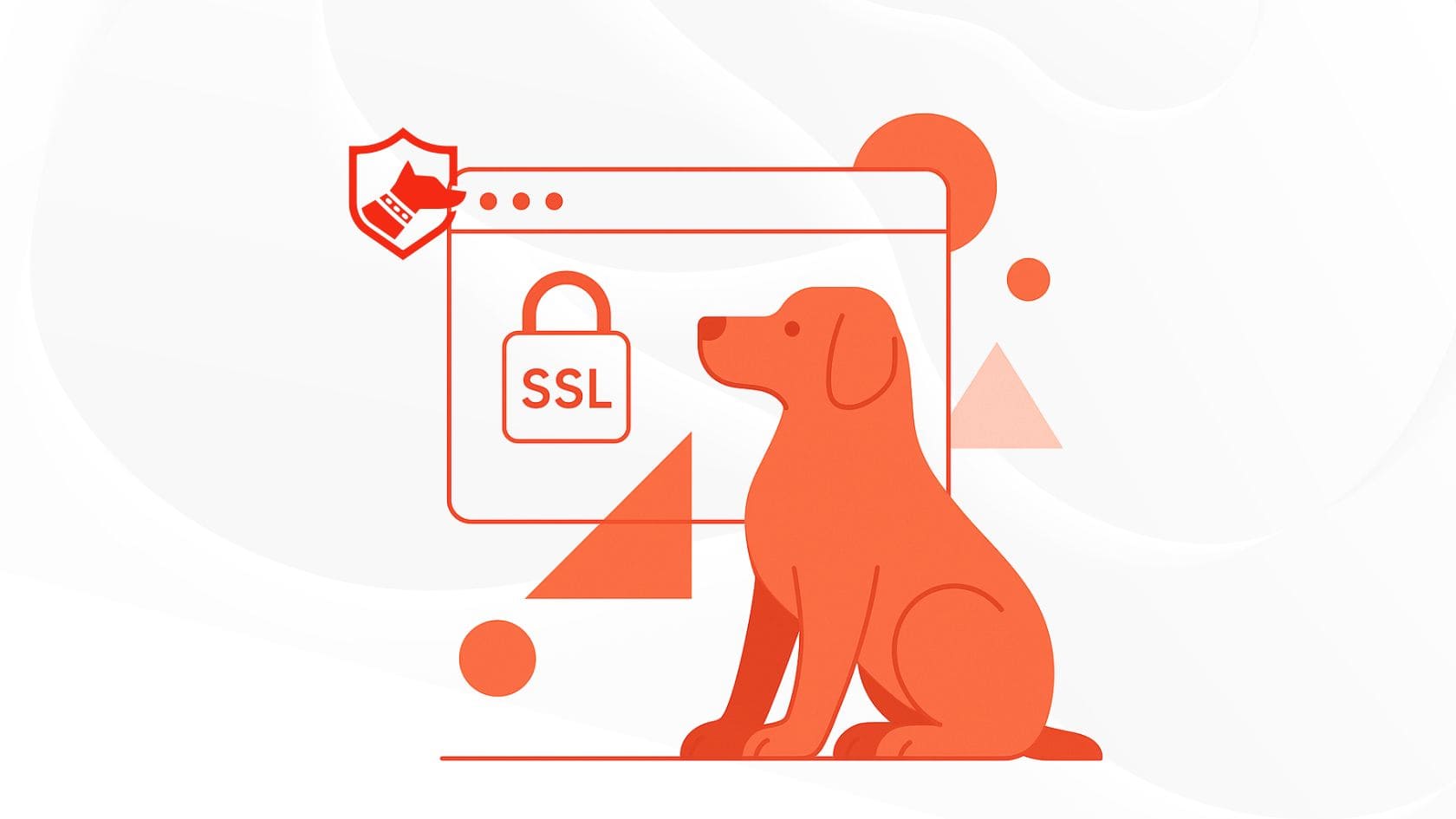 SSL-сертифікат: що це таке і як працює?