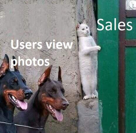 What to do before launching the campaign Identify the KPIs