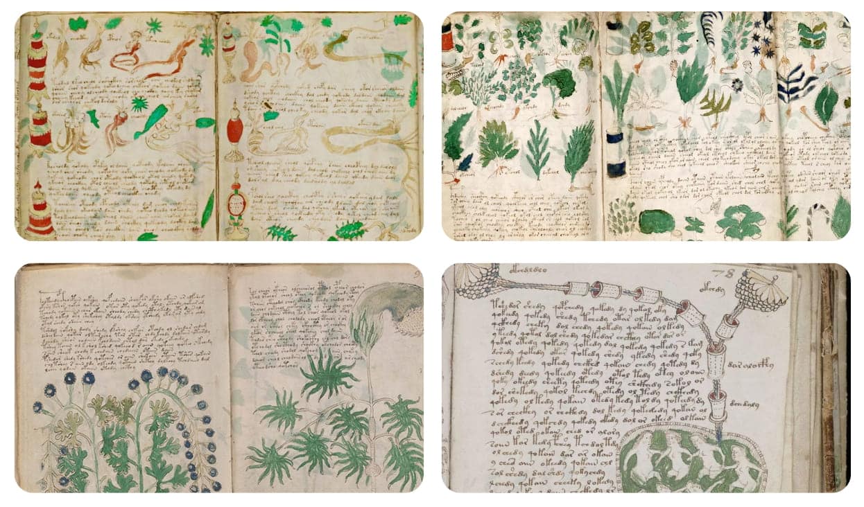 рукопис Войніча